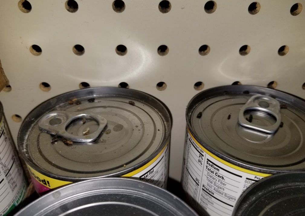 April 14 Kroger inspection